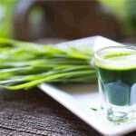 reasons to add wheatgrass to your diet